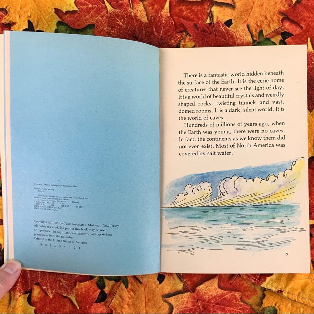 A Dark Dark Tale and Caves Book Set. - Picture 11 of 14